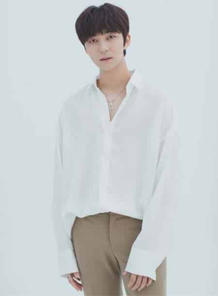 기업공연, 문화공연, 보이그룹