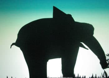 매직플레이 그림자아트-1