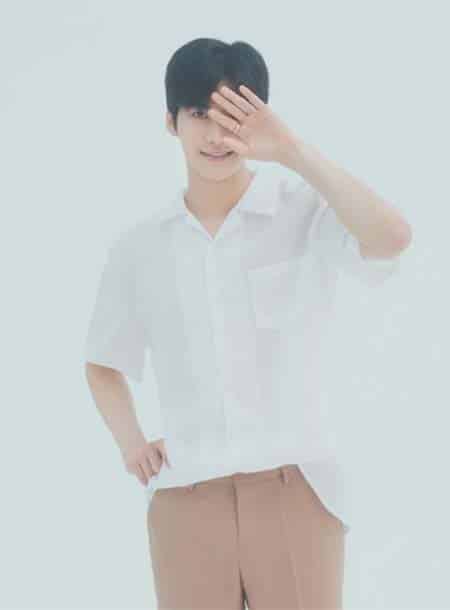 기업공연, 문화공연, 보이그룹